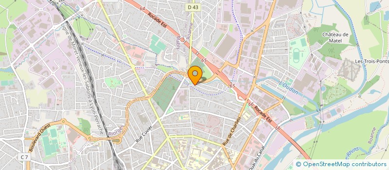 localisation de l'entreprise SARL BULL DISK à ROANNE