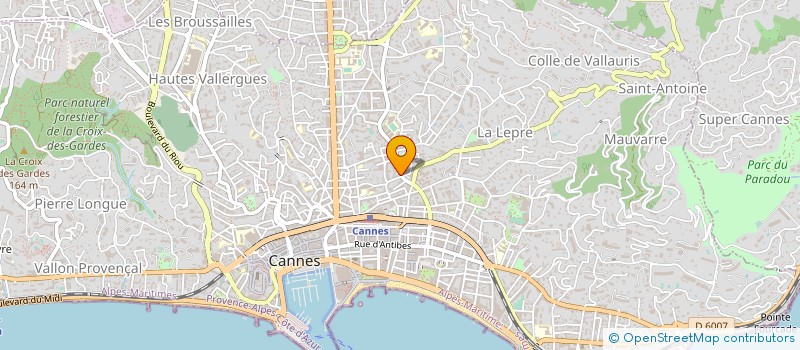 localisation de l'entreprise SARL CAP SERVICES à CANNES