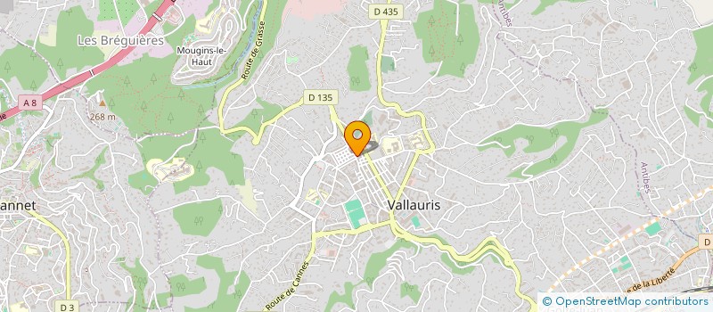 localisation de l'entreprise SARL CHILDONNA à VALLAURIS