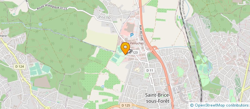 localisation de l'entreprise SARL CULTURE & EVASION à SAINT-BRICE-SOUS-FORET