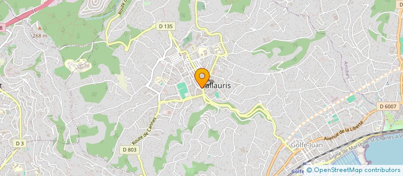 localisation de l'entreprise SARL CVSI à VALLAURIS