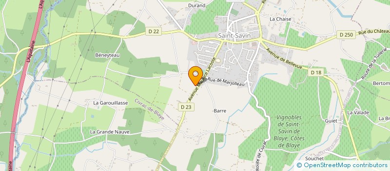 localisation de l'entreprise SARL DANIEL CANTIN  SAINT-SAVIN