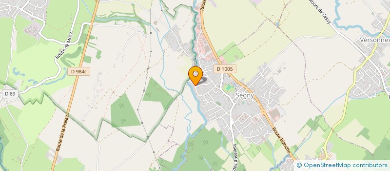 localisation de l'entreprise SARL DE L'AULP  SEGNY