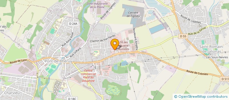 localisation de l'entreprise SARL DEBARRASSE PALETTES  TIGNIEU-JAMEYZIEU