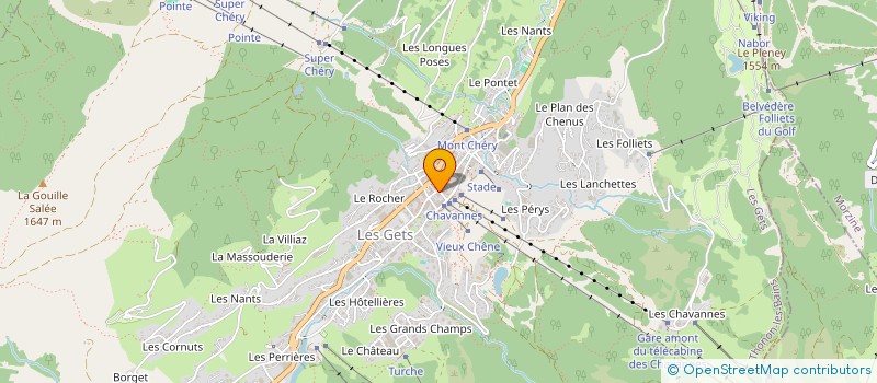 localisation de l'entreprise SARL DELAVAY SPORTS à LES GETS