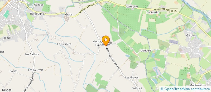 localisation de l'entreprise SARL DELLUC ET FILS  ALBIAS