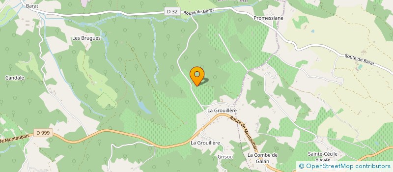 localisation de l'entreprise SARL DESSOUCH'ARBRES à LISLE-SUR-TARN