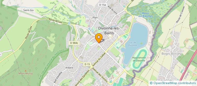 localisation de l'entreprise SARL DIVONNE PUB S à DIVONNE-LES-BAINS