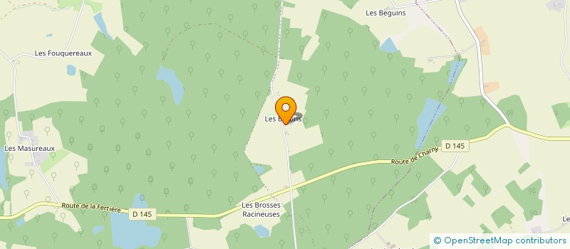 localisation de l'entreprise SARL DOMAINE EQUESTRE DE CHEVILLON à CHARNY OREE DE PUISAYE