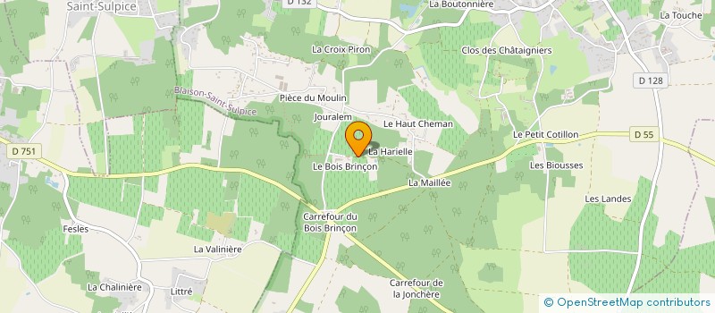 localisation de l'entreprise SARL DU BOIS BRINCON à BLAISON-SAINT-SULPICE