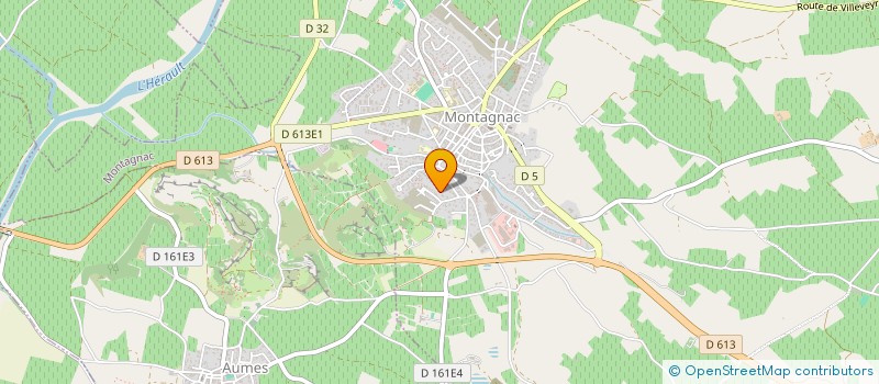 localisation de l'entreprise SARL DU MAS DE BESSILLES  MONTAGNAC