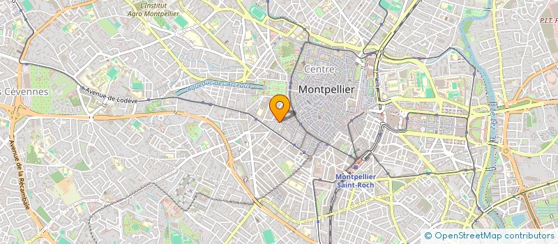 localisation de l'entreprise SARL DU RIF à MONTPELLIER