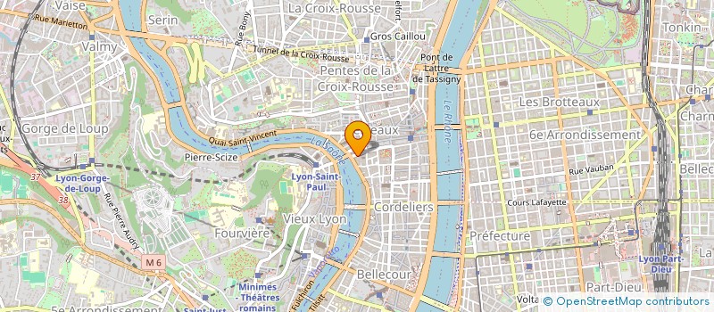 localisation de l'entreprise SARL DUYGU à LYON