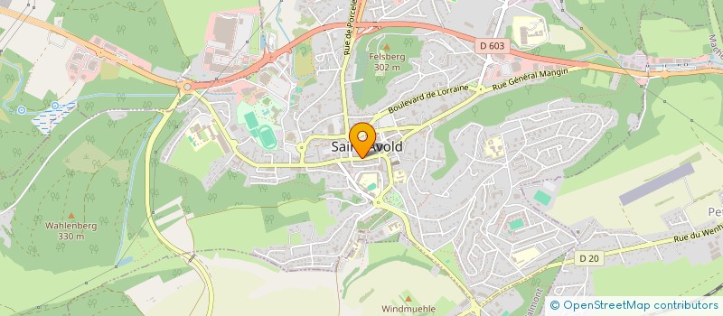 localisation de l'entreprise SARL DYN OPTIC  SAINT-AVOLD