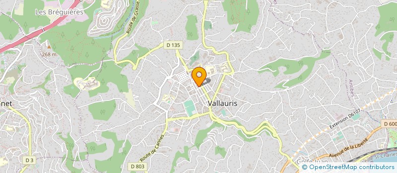 localisation de l'entreprise SARL ETABLISSEMENT FERAUD  VALLAURIS