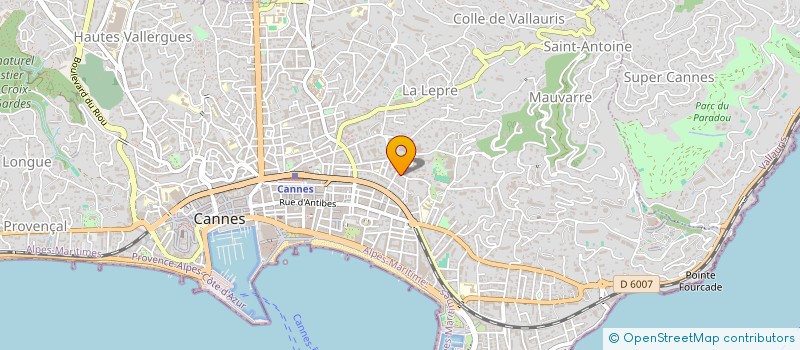 localisation de l'entreprise SARL FLEURS RIVE GAUCHE à CANNES