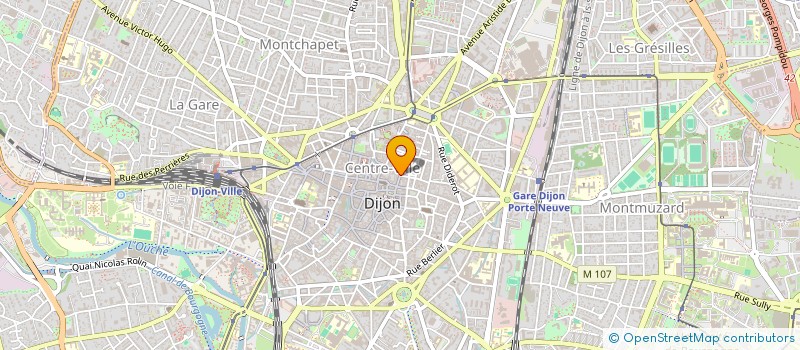 localisation de l'entreprise SARL FREMONT à DIJON