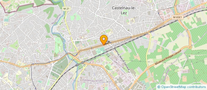 localisation de l'entreprise SARL GARAGE ORTIGOSA à CASTELNAU-LE-LEZ