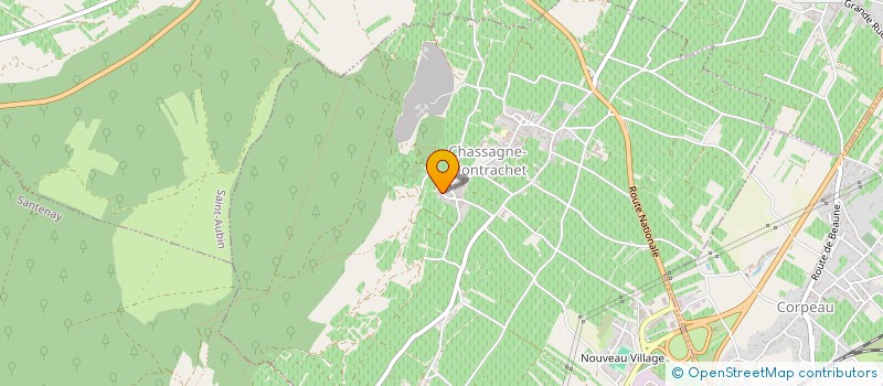 localisation de l'entreprise SARL GUY AMIOT ET FILS à CHASSAGNE-MONTRACHET
