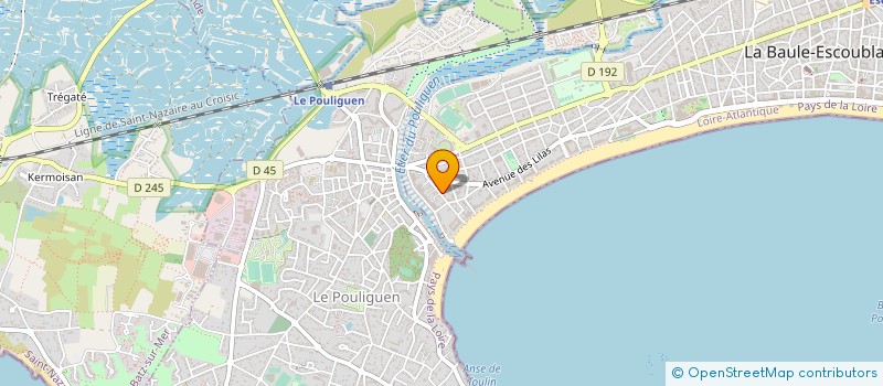 localisation de l'entreprise SARL HOLDING BESSY à LA BAULE-ESCOUBLAC