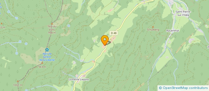 localisation de l'entreprise SARL HOTEL RESTAURANT DES BAGENELLES  SAINTE-MARIE-AUX-MINES