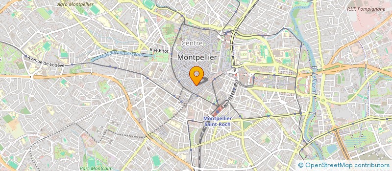 localisation de l'entreprise SARL L'OASIS HAMMAN à MONTPELLIER