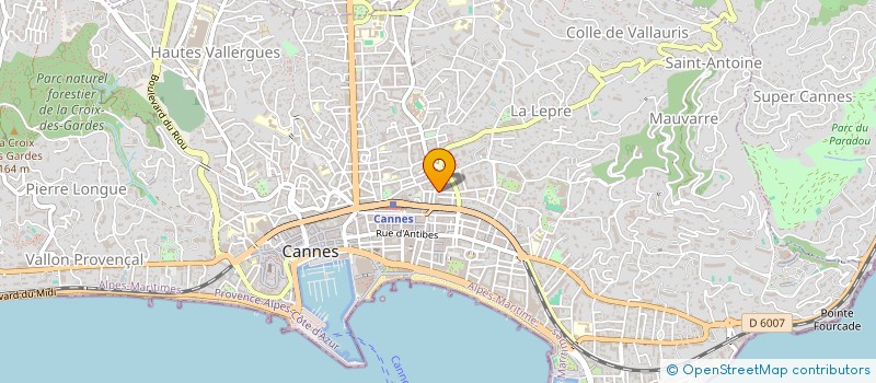 localisation de l'entreprise SARL LA MEDITERRANEE à CANNES
