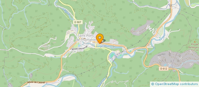 localisation de l'entreprise SARL LABADIE FOUCAULT  SAINT-PONS-DE-THOMIERES