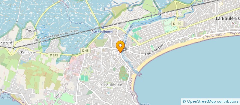 localisation de l'entreprise SARL LE BATEAU IVRE à LE POULIGUEN