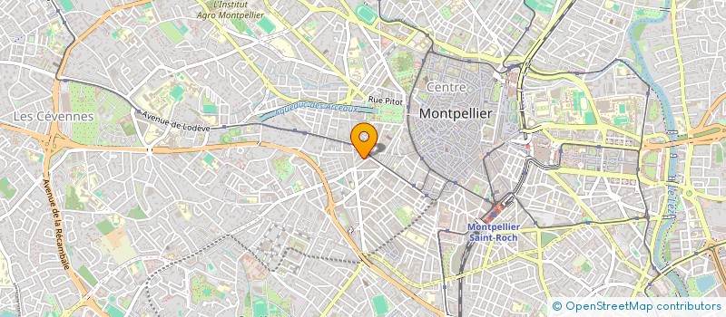 localisation de l'entreprise SARL LE FLAMAND NOIR à MONTPELLIER