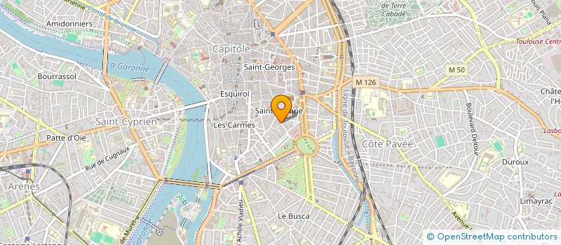 localisation de l'entreprise SARL LE LUDION à TOULOUSE
