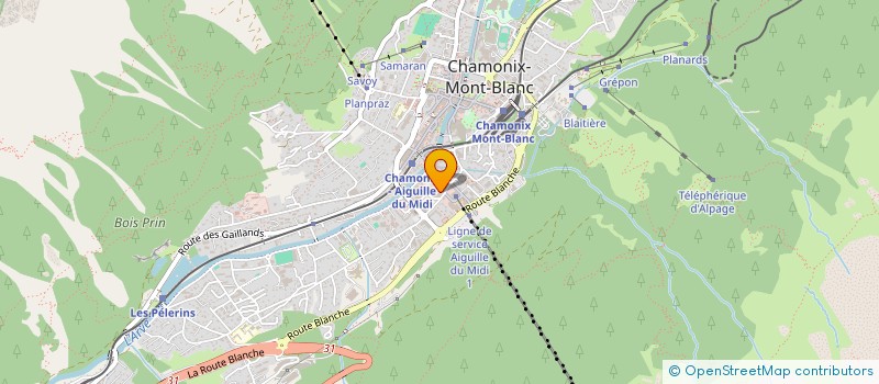 localisation de l'entreprise SARL LE MOONLIGHT  CHAMONIX-MONT-BLANC