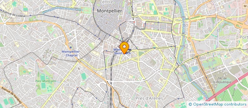 localisation de l'entreprise SARL LE PALMIER à MONTPELLIER