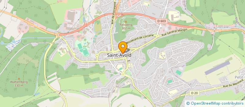 localisation de l'entreprise SARL LE PINOCCHIO  SAINT-AVOLD