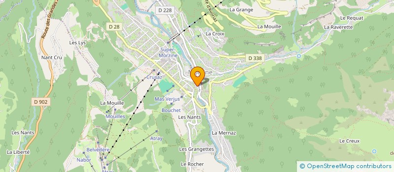 localisation de l'entreprise SARL LE PLENEY à MORZINE
