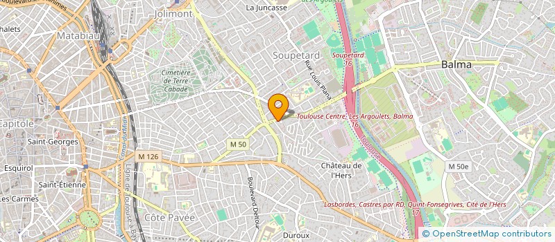 localisation de l'entreprise SARL LE SALON à TOULOUSE
