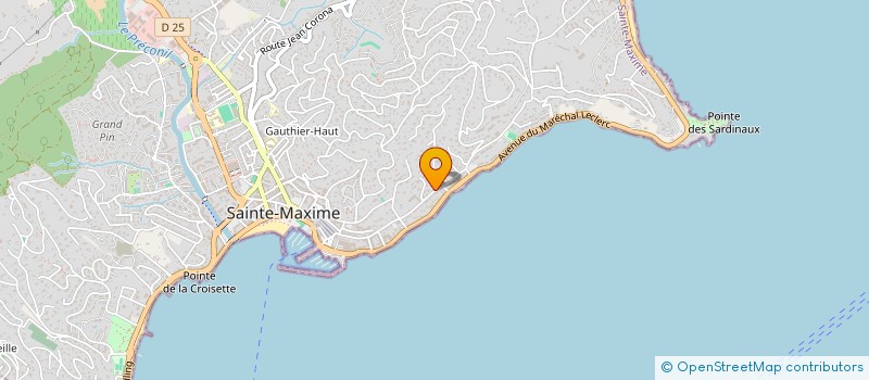 localisation de l'entreprise SARL LES PALMIERS à SAINTE-MAXIME