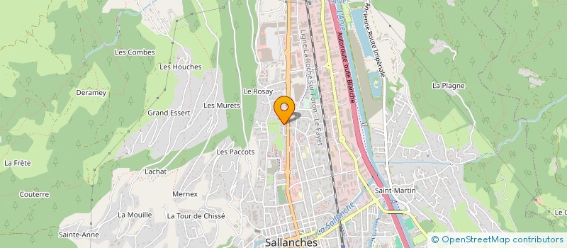 localisation de l'entreprise SARL LES SAPINS  SALLANCHES