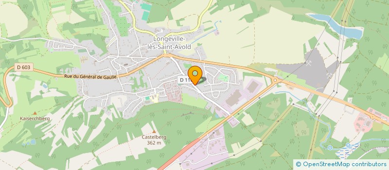 localisation de l'entreprise SARL MAEL LOHR AUTOMATES à LONGEVILLE-LES-SAINT-AVOLD