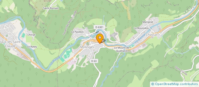 localisation de l'entreprise SARL MICKAEL MANO ELECTRICITE à CHASSAL-MOLINGES