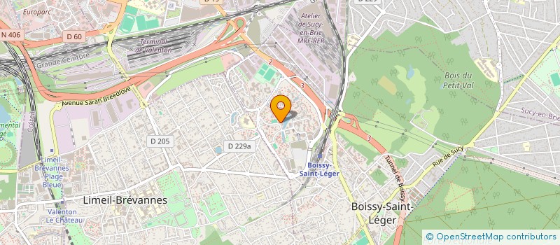 localisation de l'entreprise SARL MULTISERVICES IZE à BOISSY-SAINT-LEGER