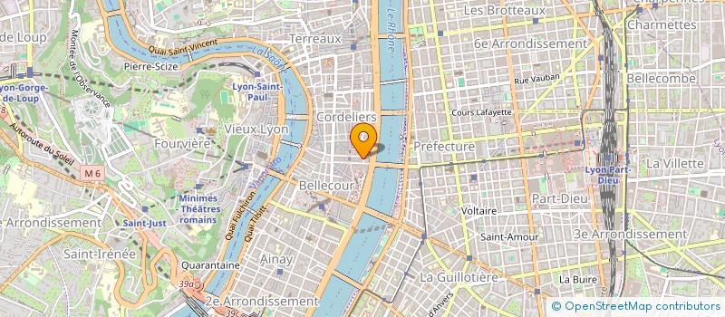 localisation de l'entreprise SARL NATHALIE ET OLIVIER GOURJUX à LYON