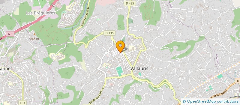 localisation de l'entreprise SARL NEW FELLING à VALLAURIS