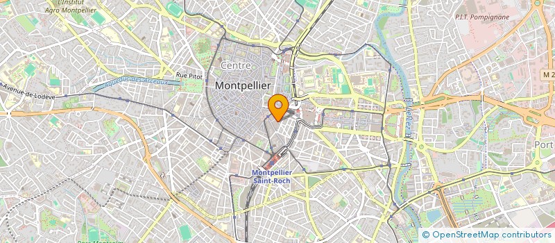localisation de l'entreprise SARL NICOLAS GENTHON à MONTPELLIER