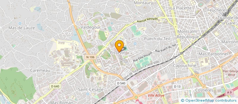 localisation de l'entreprise SARL NPS  NIMES