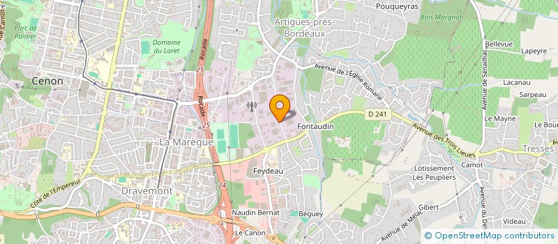 localisation de l'entreprise SARL PELLIN ET CIE GRAND DU SUD à ARTIGUES-PRES-BORDEAUX