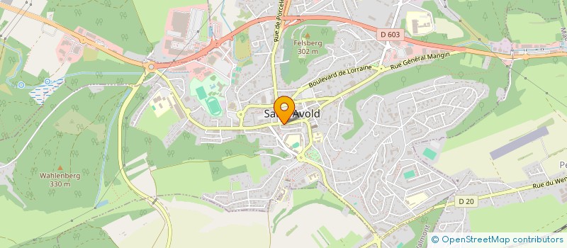 localisation de l'entreprise SARL PINCE A LINGE  SAINT-AVOLD