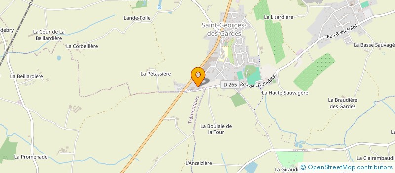 localisation de l'entreprise SARL PINEAU ET FILS à CHEMILLE-EN-ANJOU