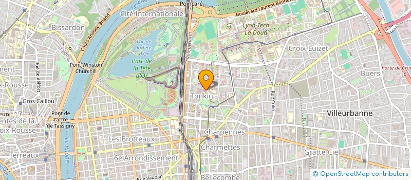 localisation de l'entreprise SARL PIZZERIA TONKIN à VILLEURBANNE