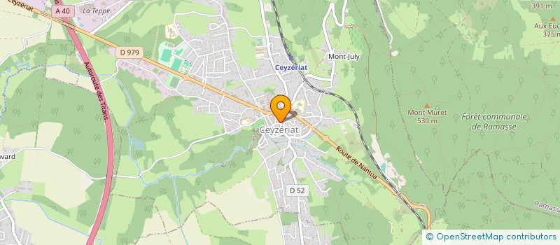 localisation de l'entreprise SARL RELAIS DE LA TOUR à CEYZERIAT